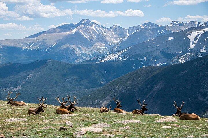 Discover Rocky Mountain National Park-Small Group Tour & Picnic
