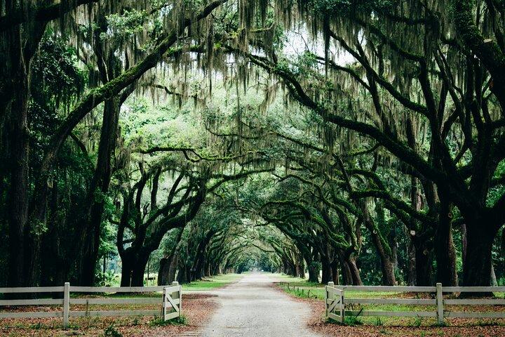 Self Guided Historic Savannah Walking Tour