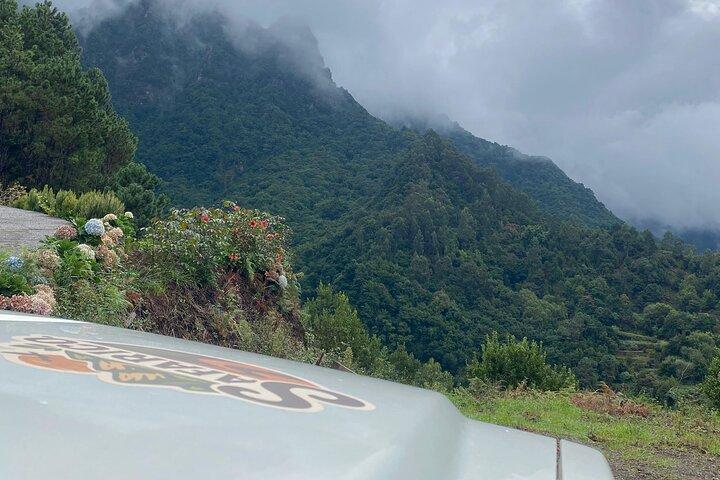 Fanal Forest, Skywalk & Lava Pools: West Madeira 4x4 Expedition