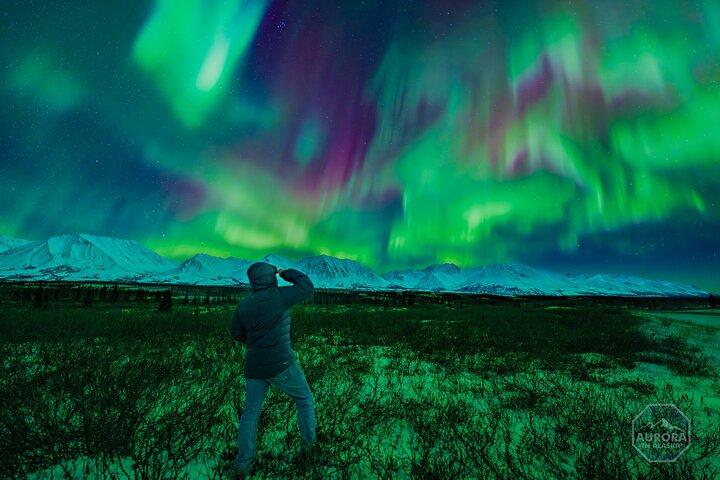 SkyChase™ | Northern Lights Experience - Free Photography & More