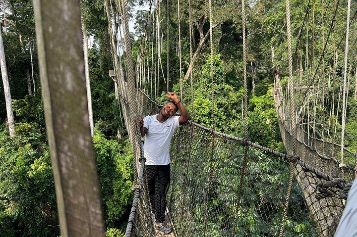 Canopy walkway ,Elimina Castle and Cape Coast Castle DayTour