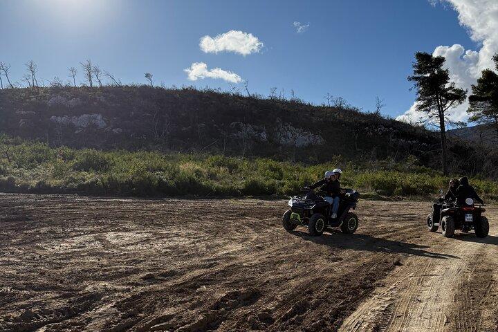 Athens ATV Adventure Tour in Parnitha Mountain with 650cc Quads