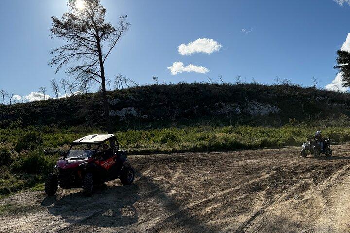 Athens ATV Adventure Tour in Parnitha Mountain with 650cc Quads