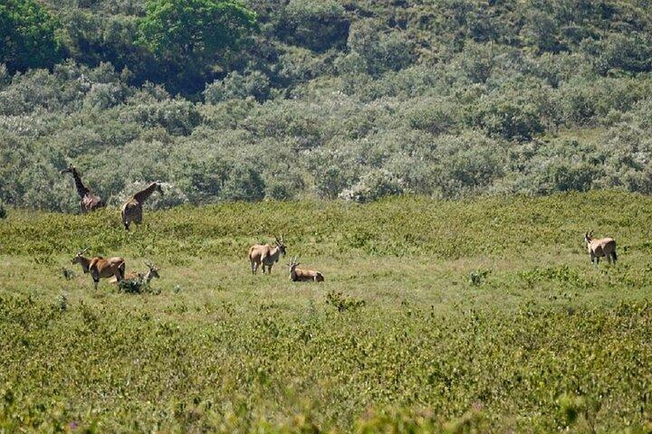 1 Day Hiking Mt Longonot with optional boat ride From Nairobi