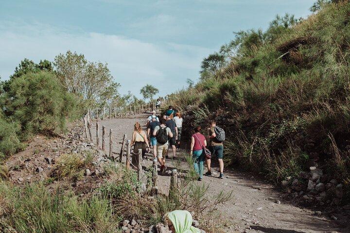 Pompeii and Mount Vesuvius Day Trip from Rome Tickets Included