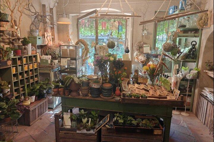 Japanese Kokedama Class in Milan’s Navigli District