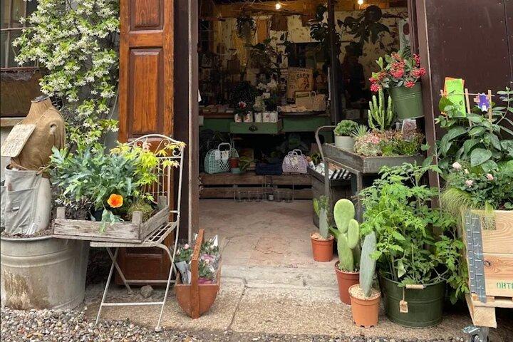 Japanese Kokedama Class in Milan’s Navigli District