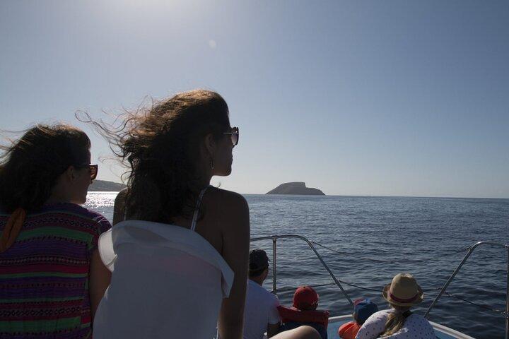 Terceira Island: Whale Watching + Ilhéus das Cabras + Snorkeling