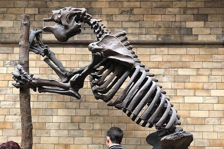 Londons Natural History Museum