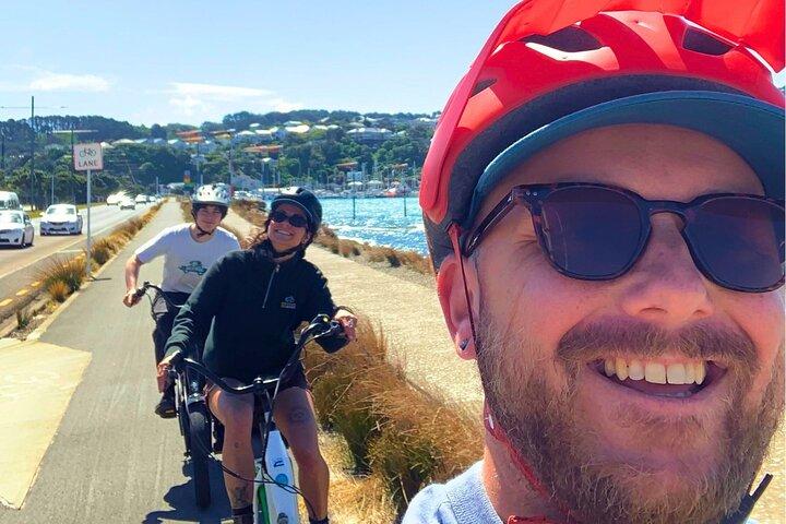 Wellington Electric Bike Rental