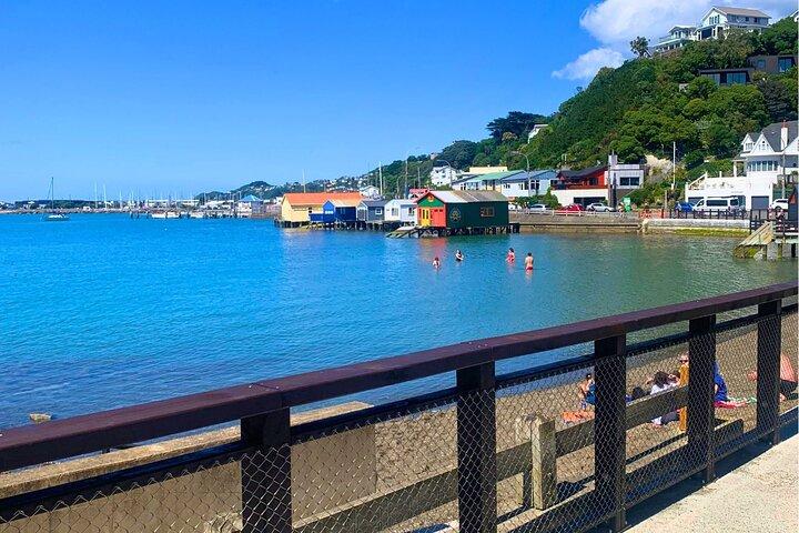 Wellington Electric Bike Rental