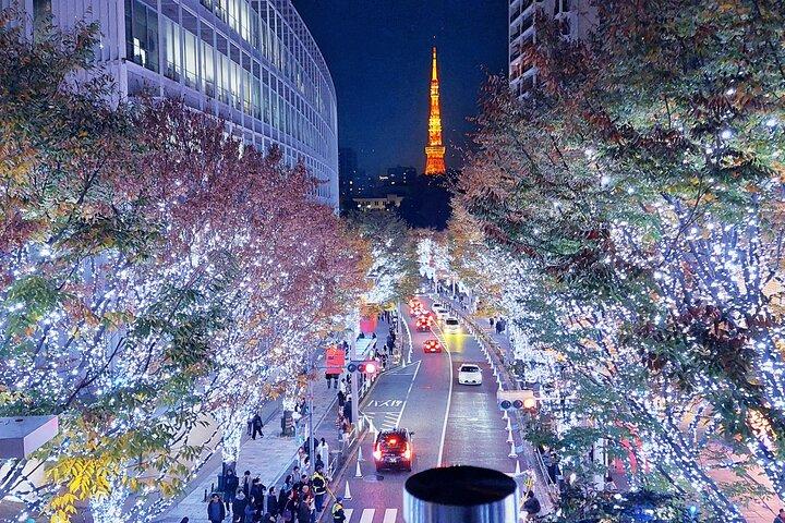 Tokyo Winter Illumination Ebike Tour