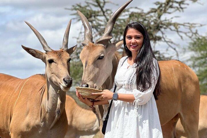 Arusha Serval Wildlife Sanctuary Tour with Pickup