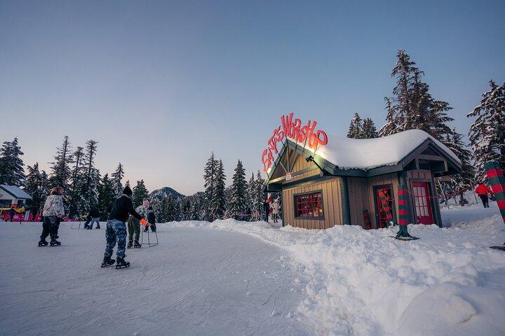 Vancouver Night Tour with Capilano & Grouse Mountain Dinner