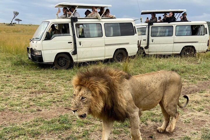 Half Day Nairobi National Park Game Drive tour.