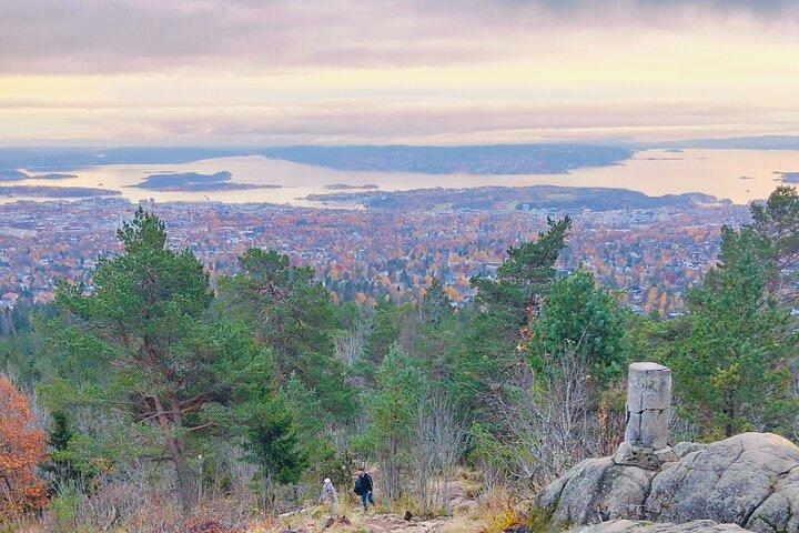 Oslo's Scenic Fjord Hike & Chef's Norwegian Forest Waffle