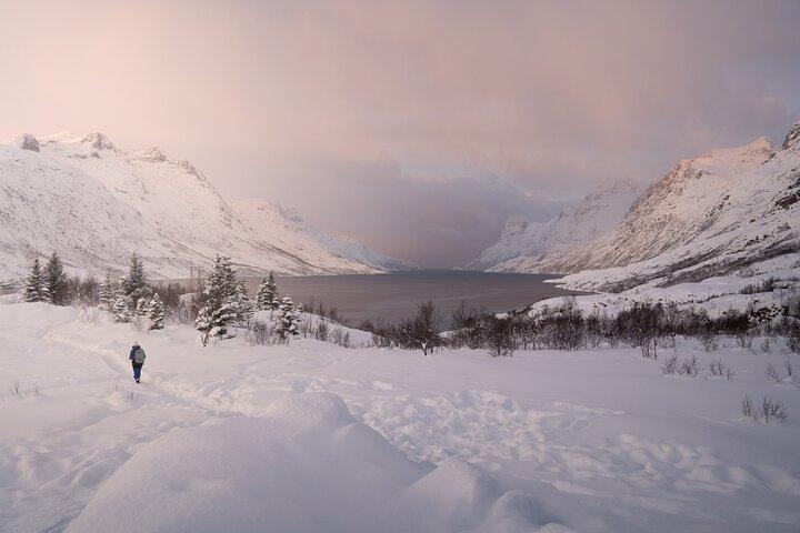 Arctic Fjord Roadtrip with Scenic Picnic from Tromso