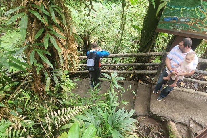 La Paz Waterfall Gardens Half-Day Tour from San José