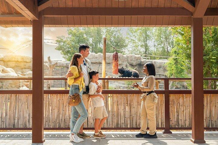 Dubai Safari Park Your Ultimate Safari Experience