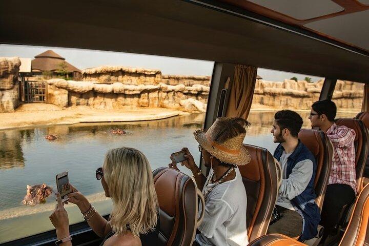 Dubai Safari Park Your Ultimate Safari Experience