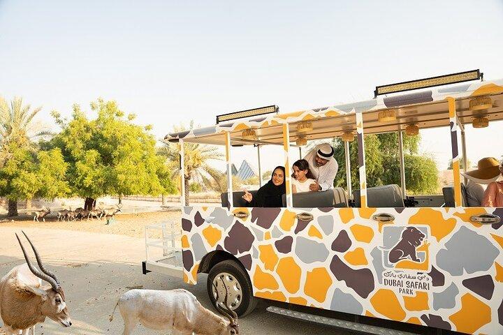 Dubai Safari Park Your Ultimate Safari Experience