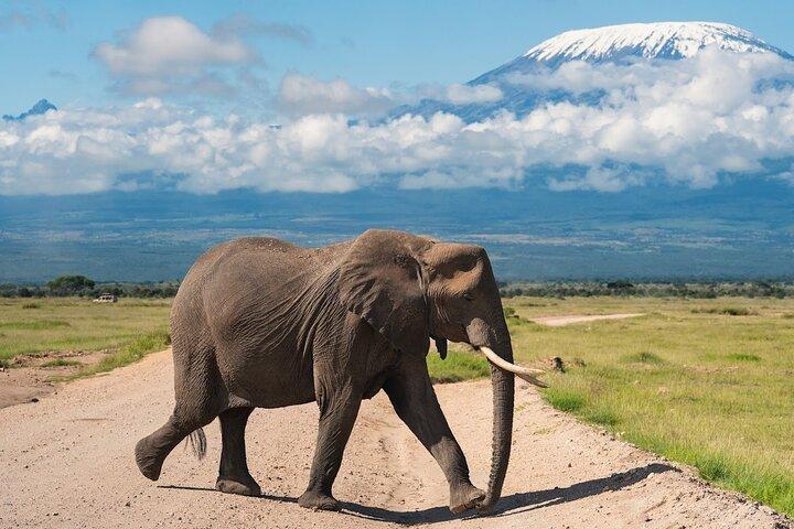 5 Days Amboseli, Tsavo Diani