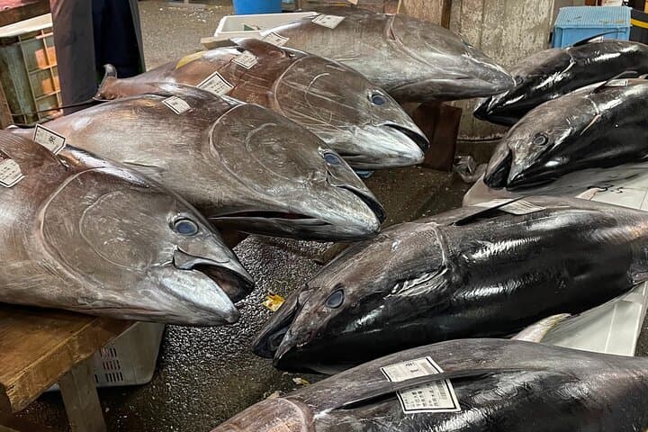 Adachi Fish Market Tour in Tokyo