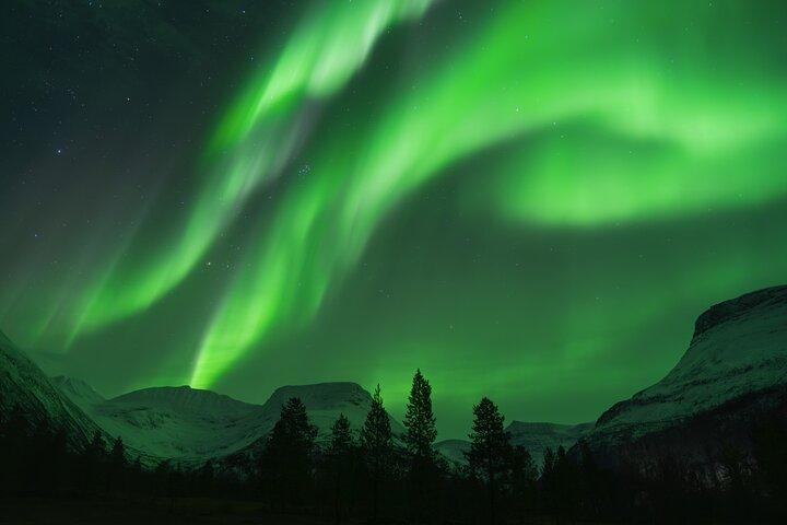 Tromsø: Northern Lights Adventure with Expert Guides and Photos
