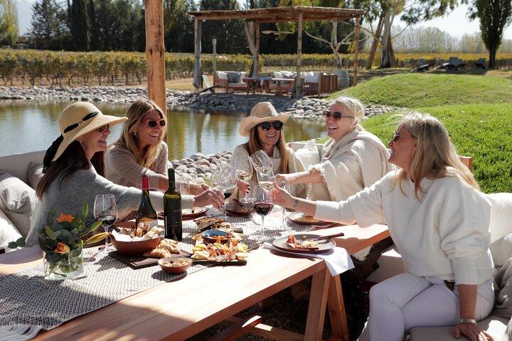 Full Day Winery in Mendoza and Tour of Potrerillos and Cacheuta