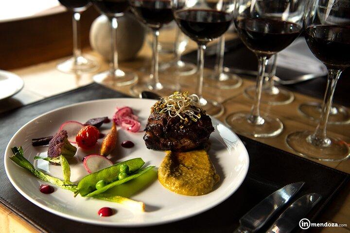 Full Day Winery in Mendoza and Tour of Potrerillos and Cacheuta