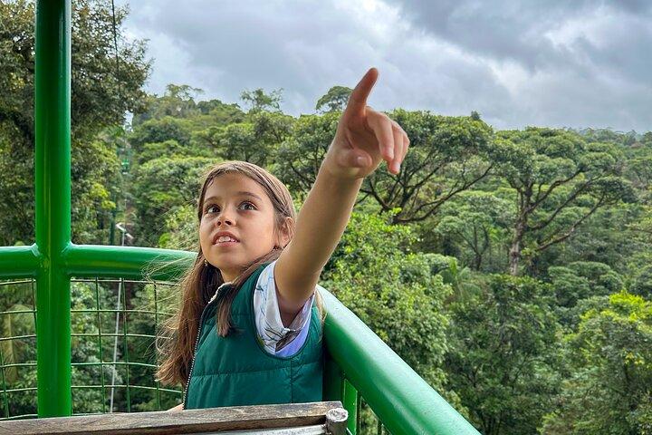 Rainforest Aerial Tram Half Day Pass – Braulio Carrillo Park