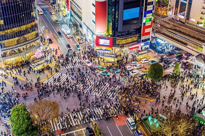 Tokyo Private Custom Tour with Local Guide Highlights&Hidden Gems
