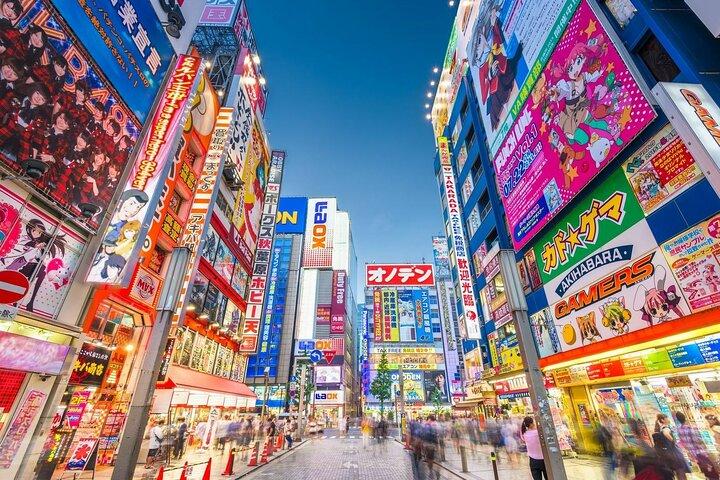 Tokyo Private Walking Tour – Ueno, Ameyoko & Kanda