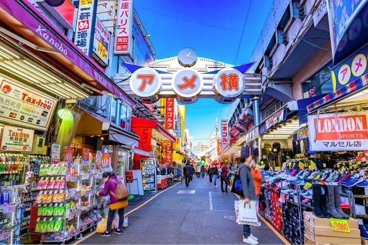 Tokyo Private Walking Tour – Ueno, Ameyoko & Kanda
