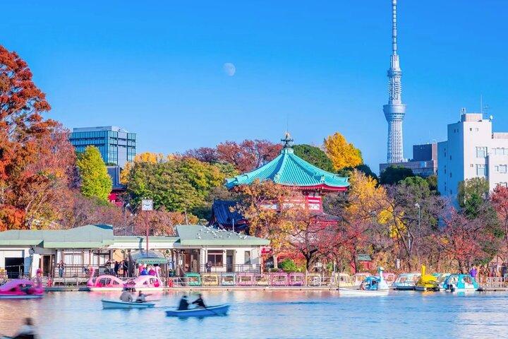 Tokyo Private Walking Tour – Ueno, Ameyoko & Kanda