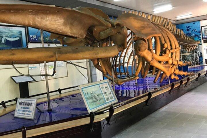 Nha Trang Half Day Tour: Best Highlights & Secret Spots
