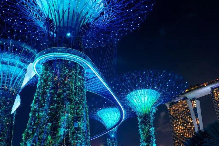Singapore Night River Cruise with Garden Rhapsody and Spectra