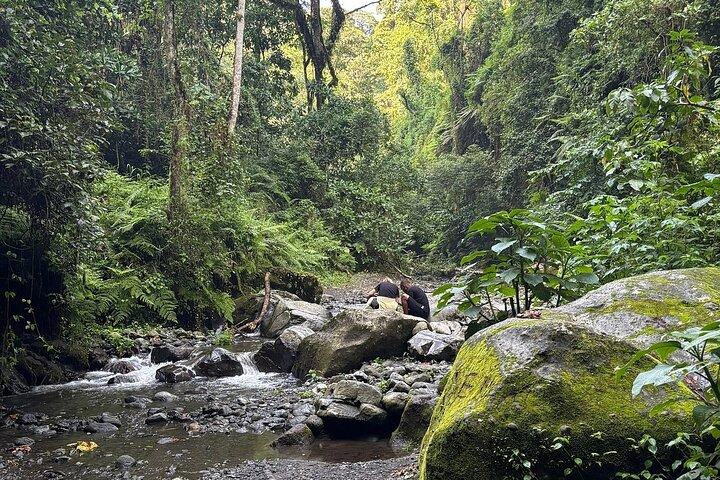 Meru Forest Napuru Waterfalls Hiking Day Trip