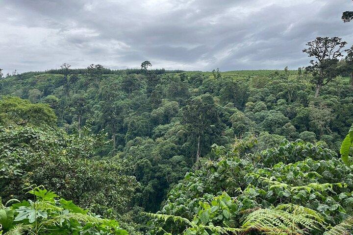 Meru Forest Napuru Waterfalls Hiking Day Trip