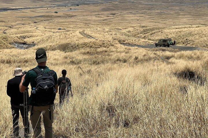 4 Day Adventure in Climb Ol Doinyo Lengai and Explore Lake Natron