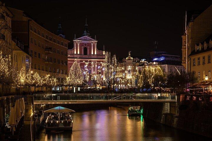 Private Day Trip: Vienna to Ljubljana