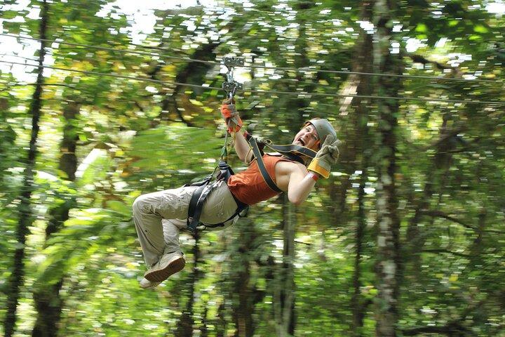 Rainforest Zip-Line Adventure – Braulio Carrillo, Costa Rica
