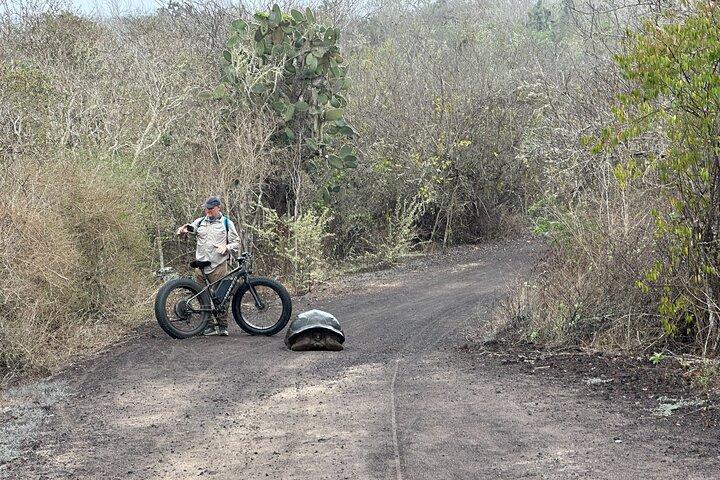 5 Days Tour to Explore Santa Cruz ,Isabela and Santa Fe Galapagos