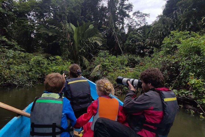 3-hour canoe tour through Tortuguero National Park