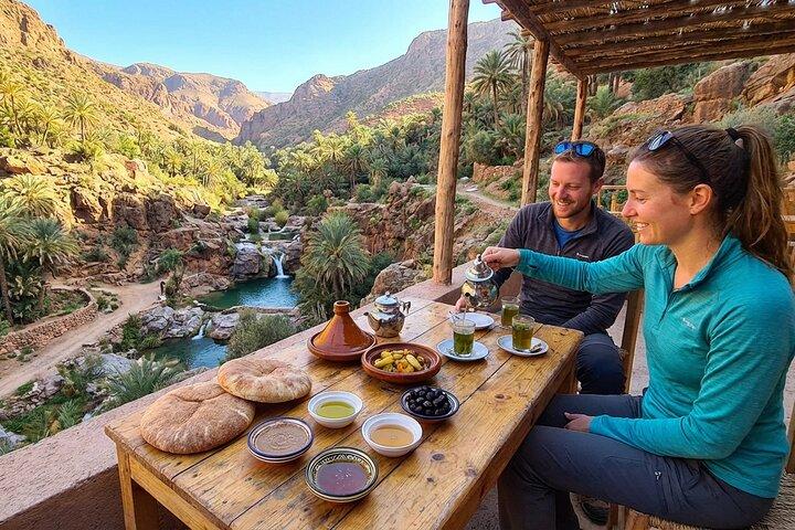Paradise Valley excursion and Botanical Garden & Berber breakfast