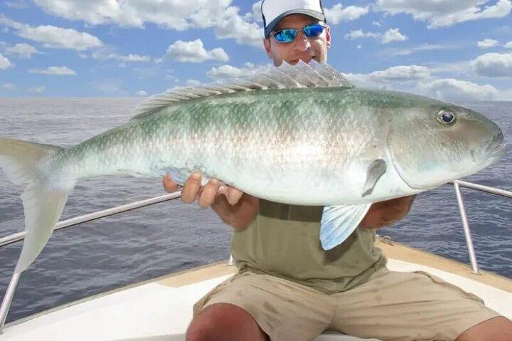Private Deep Sea Fishing Trip with Professional Crew Dubai Marina