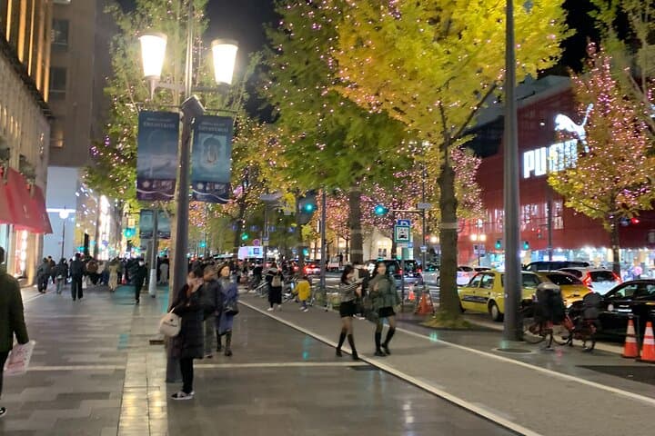 Hidden Alleys and Local Streets of Osaka Walking Tour