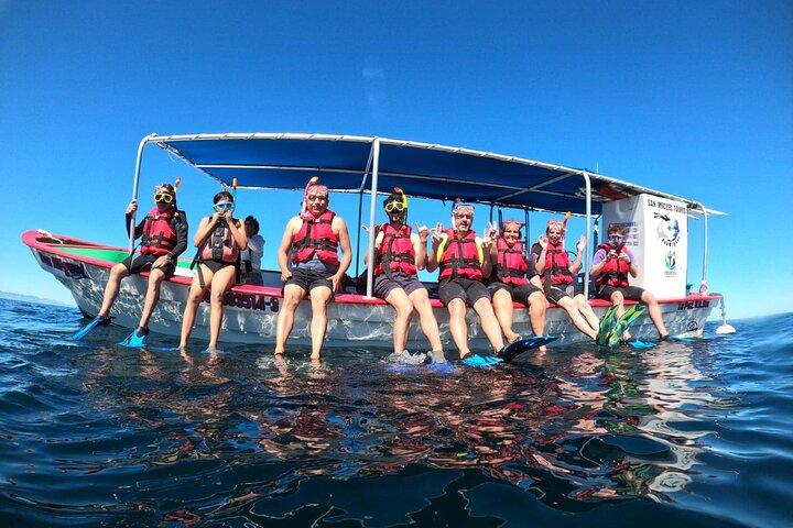 Holy Spirit Island Tour and snorkeling with sea lions