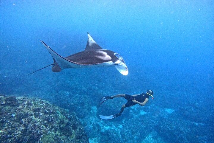 Snorkeling Day Trip To Lembongan and Penida