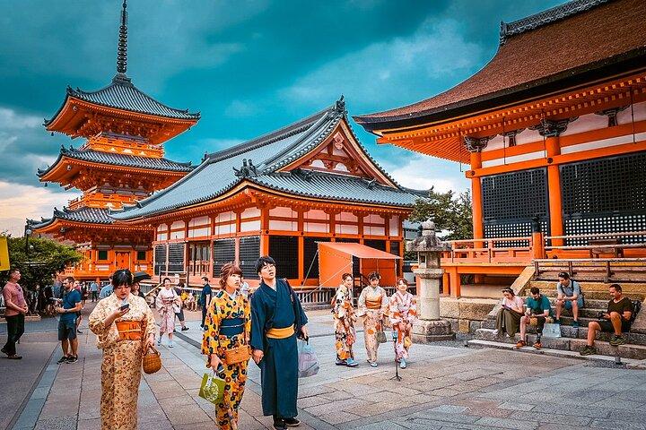 Kyoto Private Customizable Day Tour with Guide and Vehicle